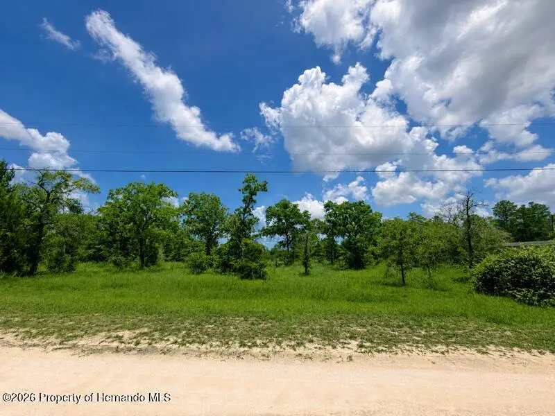 0 Fulmar Road, Weeki Wachee, FL 34614 - #1