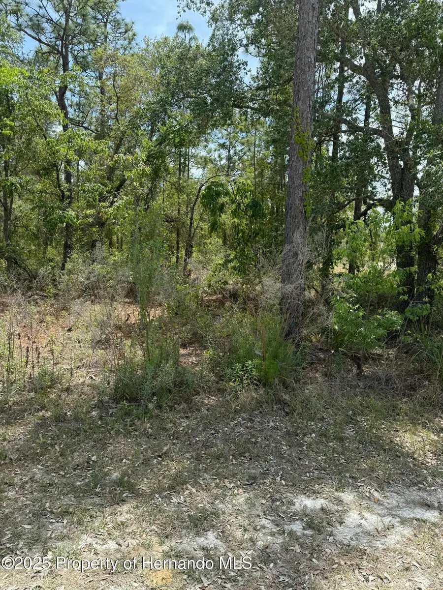 0 Snow Goose Avenue, Weeki Wachee, FL 34614 - #2