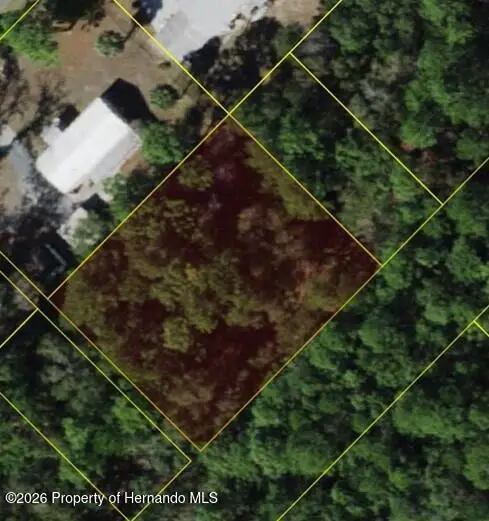 7941 W Ox Eye Place, Homosassa, FL 34448