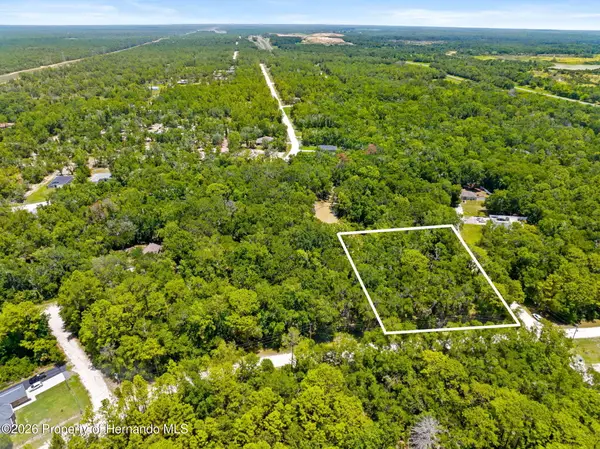 0 Ricebird Avenue, Weeki Wachee, FL 34614