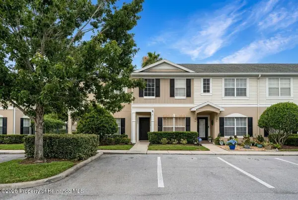 16403 Bellemore Lane, Odessa, FL 33556