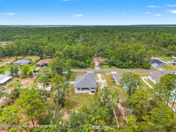 11153 Wood Owl Avenue, Weeki Wachee, FL 34614