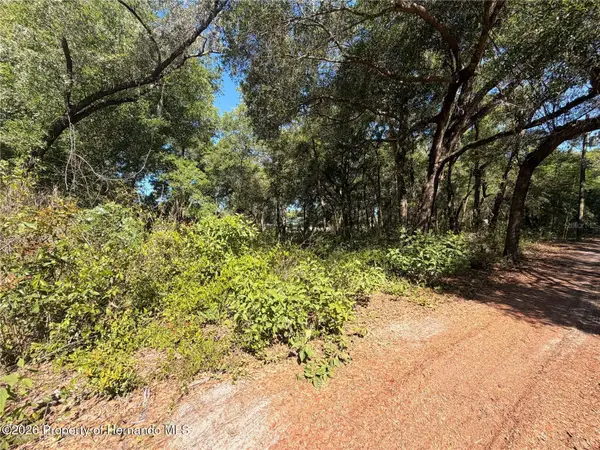 10185 Creekfield Road, Spring Hill, FL 34613