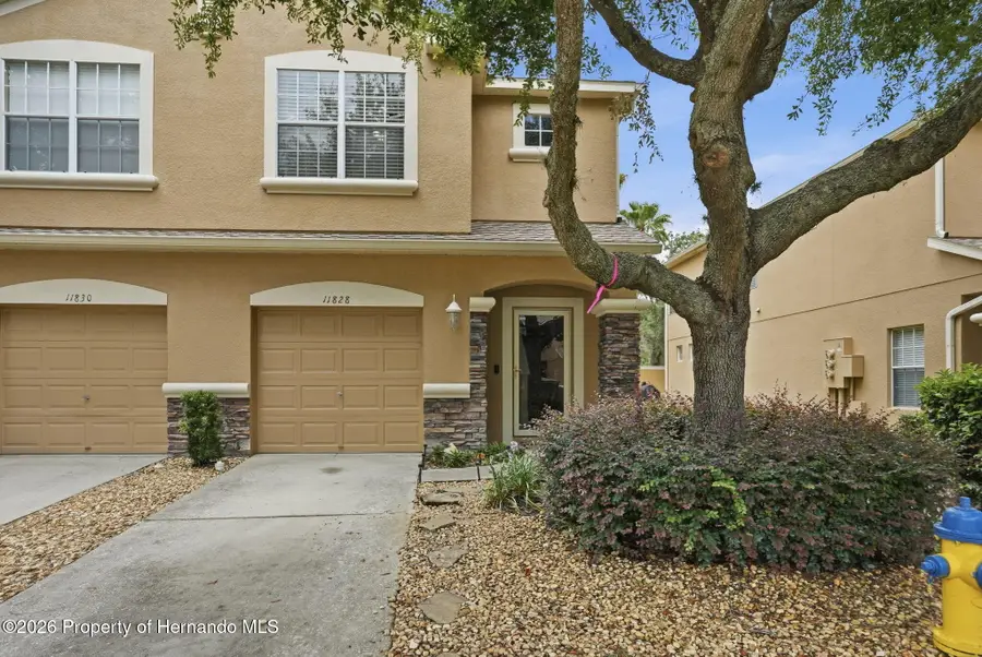 11828 Castine Street, New Port Richey, FL 34654 - #2