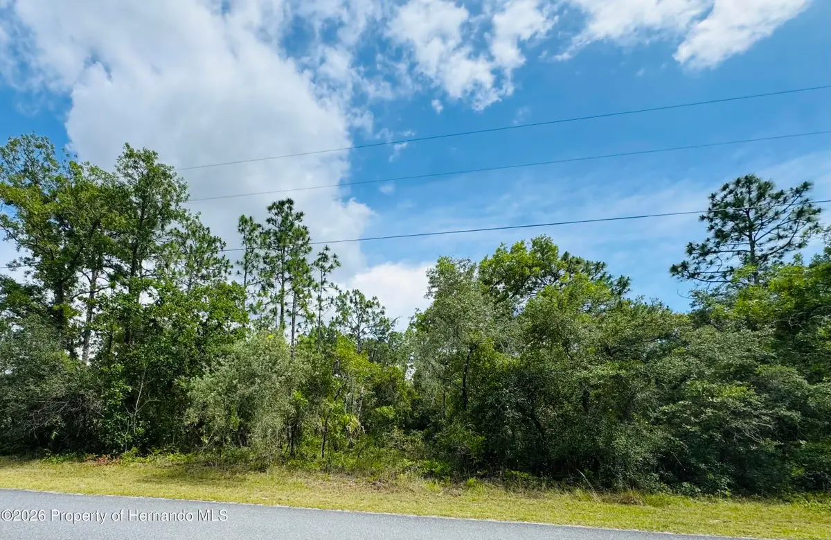 Lot 4 Wood Owl Avenue, Weeki Wachee, FL 34614 - #1