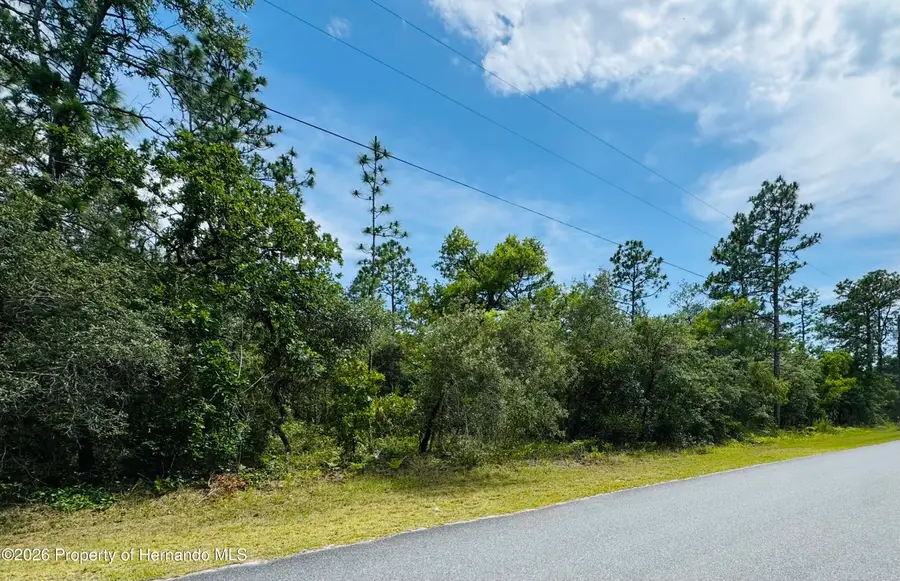 Lot 4 Wood Owl Avenue, Weeki Wachee, FL 34614 - #3