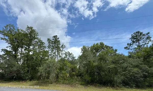 Lot 5 Wood Owl Avenue, Weeki Wachee, FL 34614