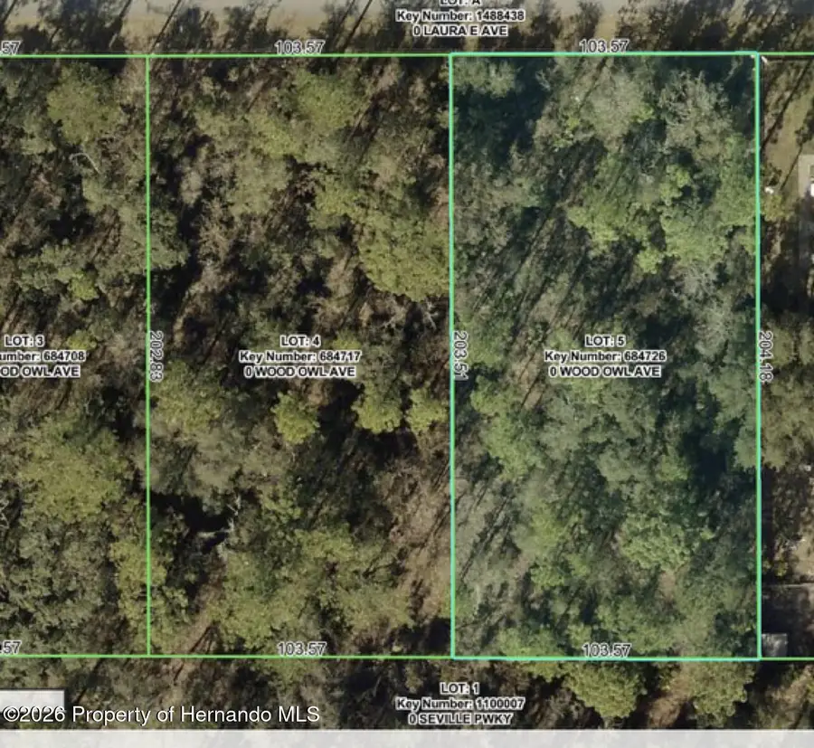 Lot 5 Wood Owl Avenue, Weeki Wachee, FL 34614 - #2