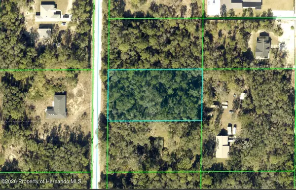 0 Alloy Street, Webster, FL 33597