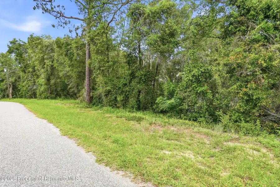 7002 N Castlebury Road, Hernando, FL 34442 - #2