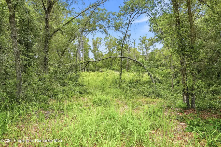 7002 N Castlebury Road, Hernando, FL 34442 - #3