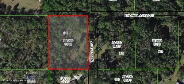 8927 E Floral Acres Court, Floral City, FL 34436