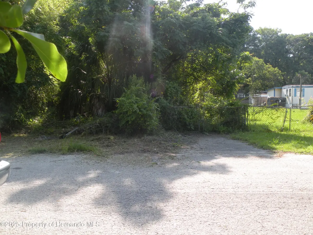 11540 Altoona Avenue, New Port Richey, FL 34654 - #1