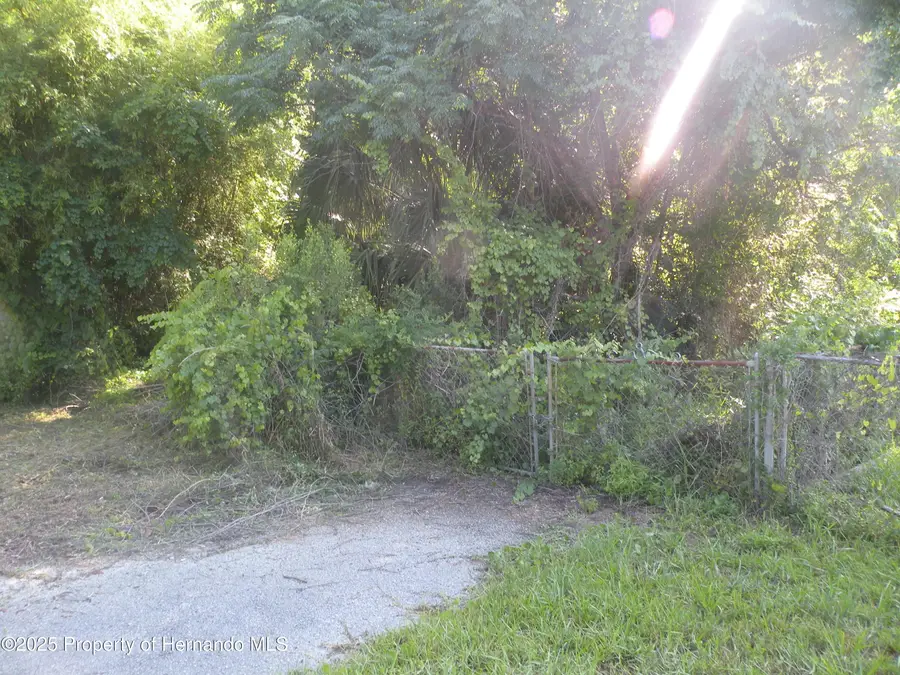 11540 Altoona Avenue, New Port Richey, FL 34654 - #2