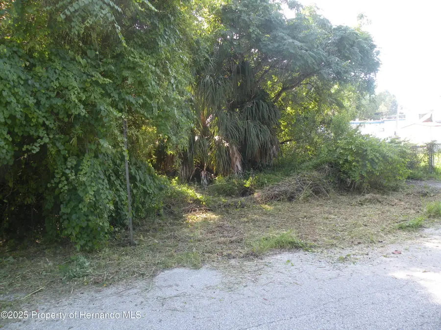 11540 Altoona Avenue, New Port Richey, FL 34654 - #3
