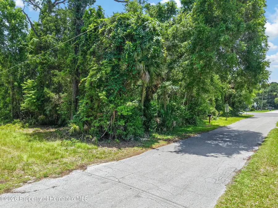 0 Hwy 40 W, Inglis, FL 34449 - #3