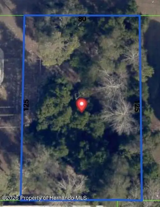 0 Tansboro Street, Spring Hill, FL 34608 - #1