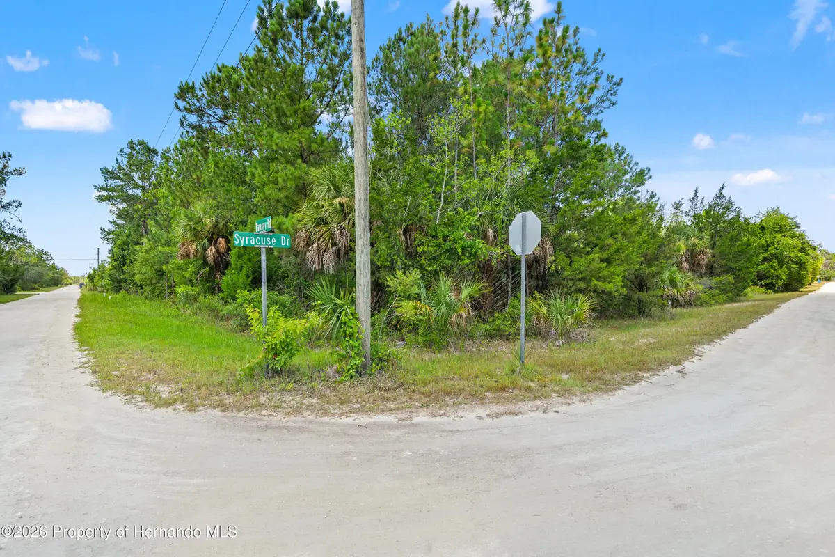 0 Ramsey Road, Brooksville, FL 34614 - #1