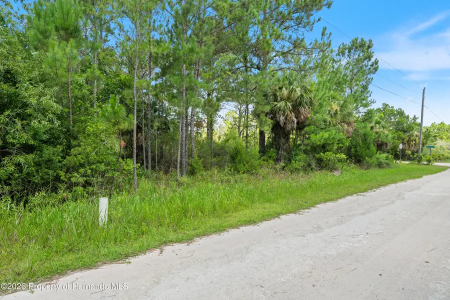 0 Ramsey Road, Brooksville, FL 34614 - #3