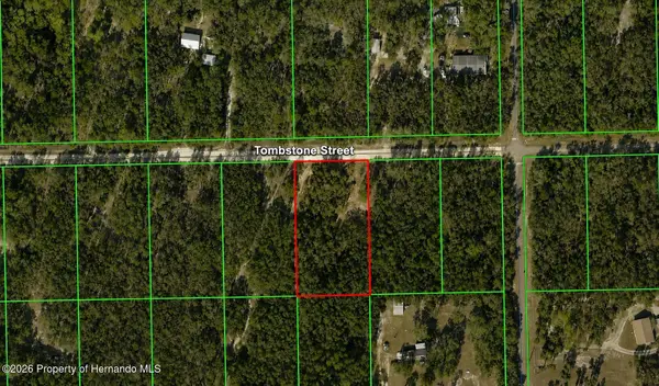 33240 Tombstone Street, Webster, FL 33597