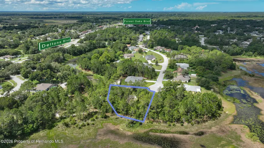 . Valley Brook Court, Spring Hill, FL 34606 - #3
