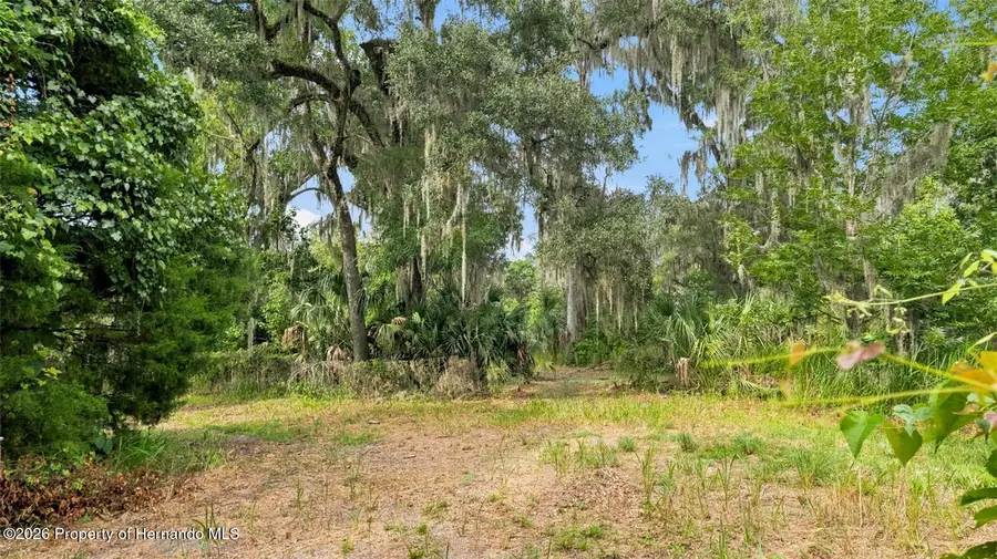 0 Cedar Lane, Brooksville, FL 34601 - #3