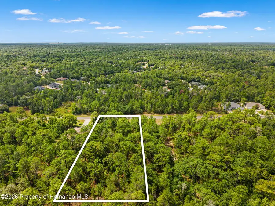6191 W Oak Park Boulevard, Homosassa, FL 34446 - #2