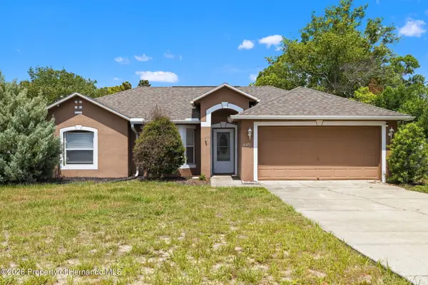 6371 Shadydale Avenue, Spring Hill, FL 34609