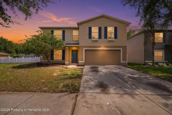 14026 Jacobson Drive, Odessa, FL 33556