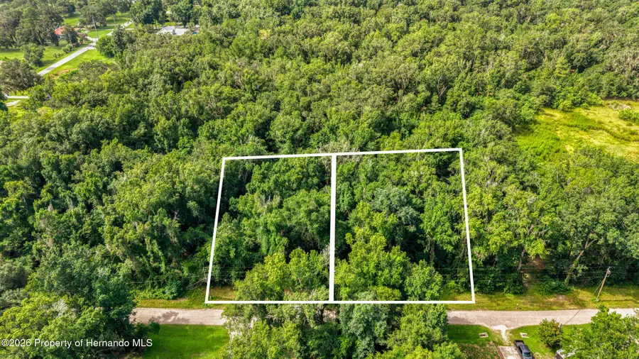 0 Fitzhugh Avenue, Brooksville, FL 34601 - #2