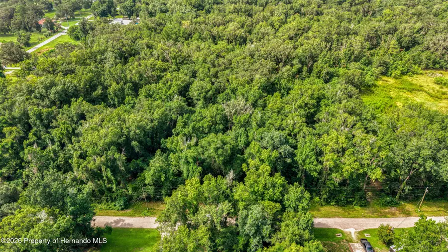 0 Fitzhugh Avenue, Brooksville, FL 34601 - #3