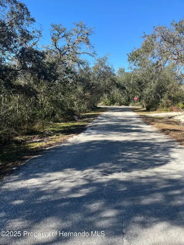 0 Excalibur Road, Webster, FL 33597