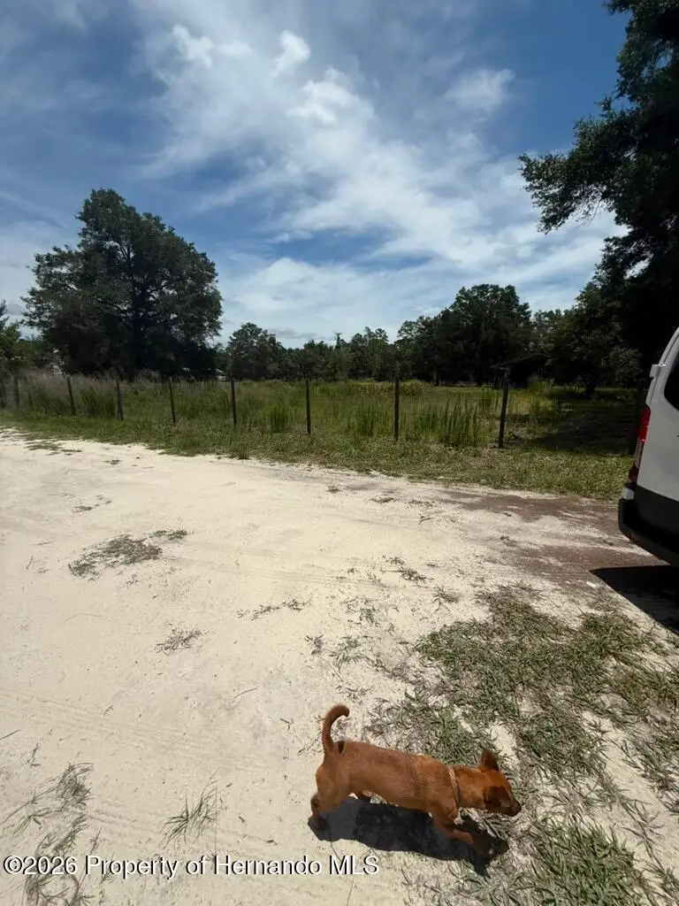 0 American Lane, Brooksville, FL 34601 - #3