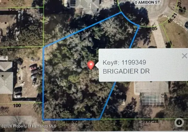 1453 Brigadier Drive, Spring Hill, FL 34608