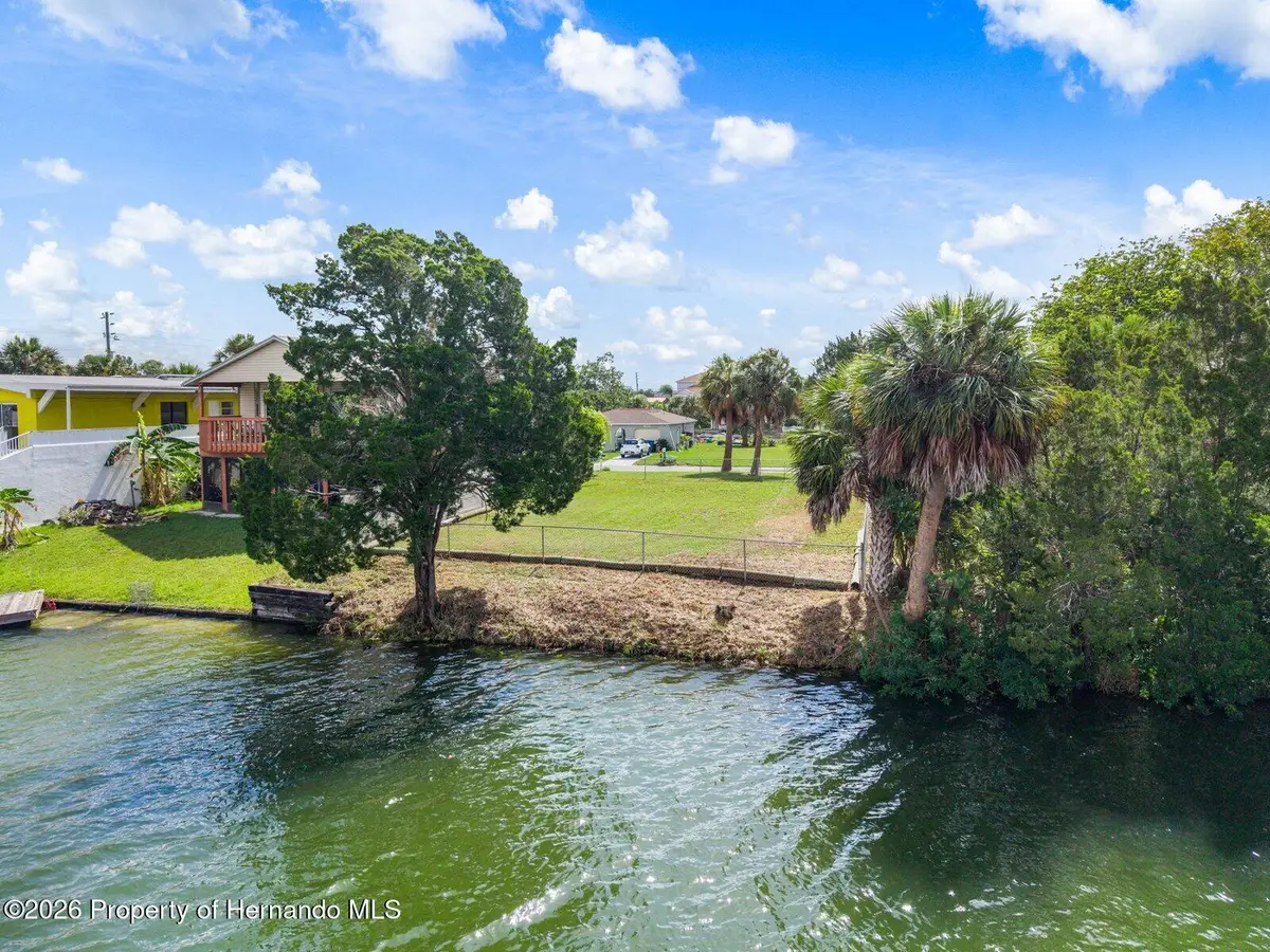 3287 Sea Grape Drive, Hernando Beach, FL 34607 - #1