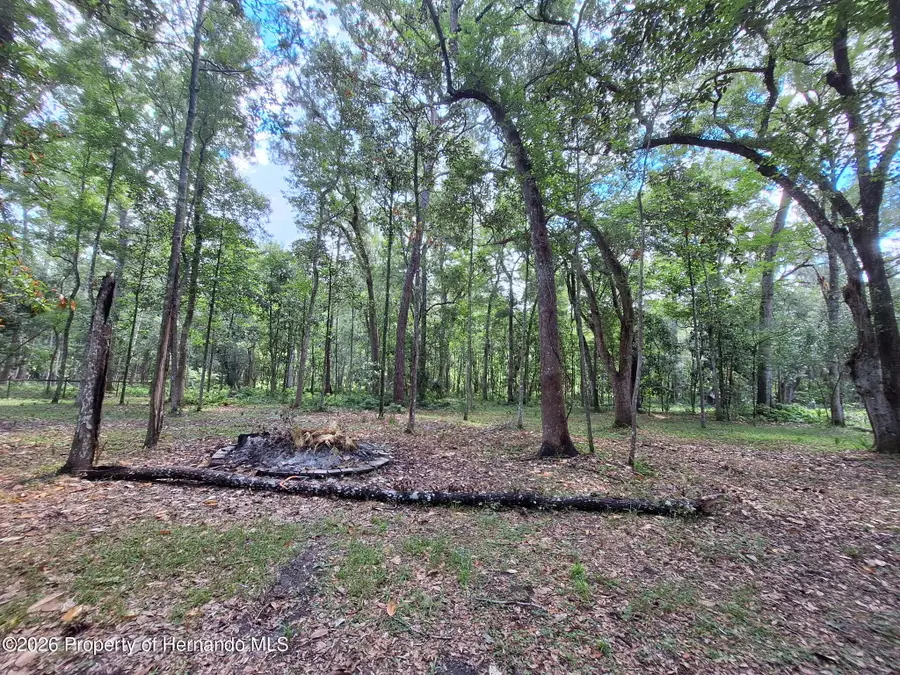 11304 Royal Drive, Brooksville, FL 34601 - #3