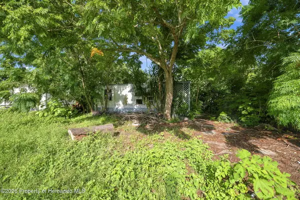 13129 Clermont Street, Hudson, FL 34667