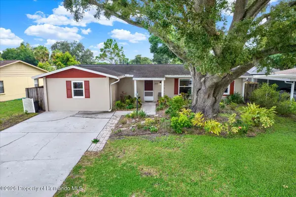 22537 Newfield Court, Land O'Lakes, FL 34639