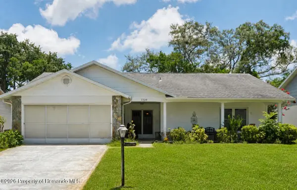 2328 Palm Springs Court, Spring Hill, FL 34606
