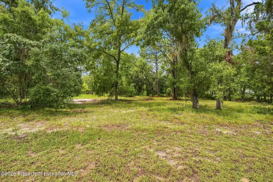 4734 S Slash Pine Avenue, Homosassa, FL 34446 - #2