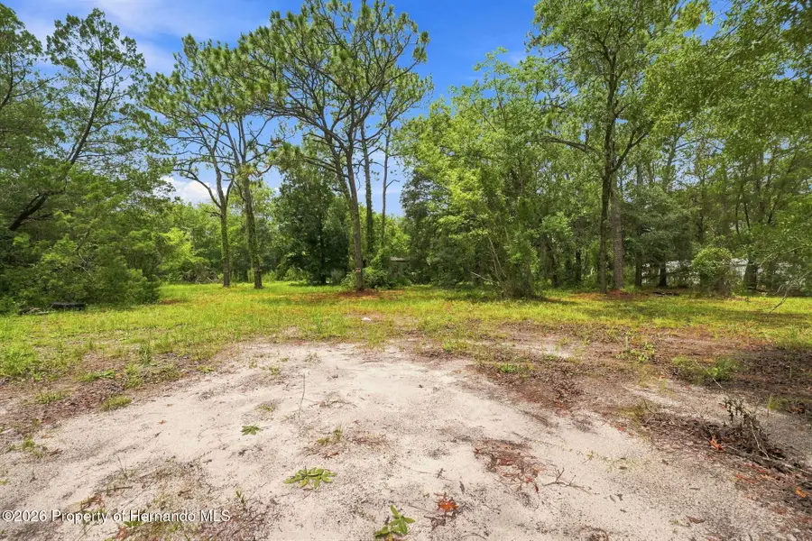 4734 S Slash Pine Avenue, Homosassa, FL 34446 - #3