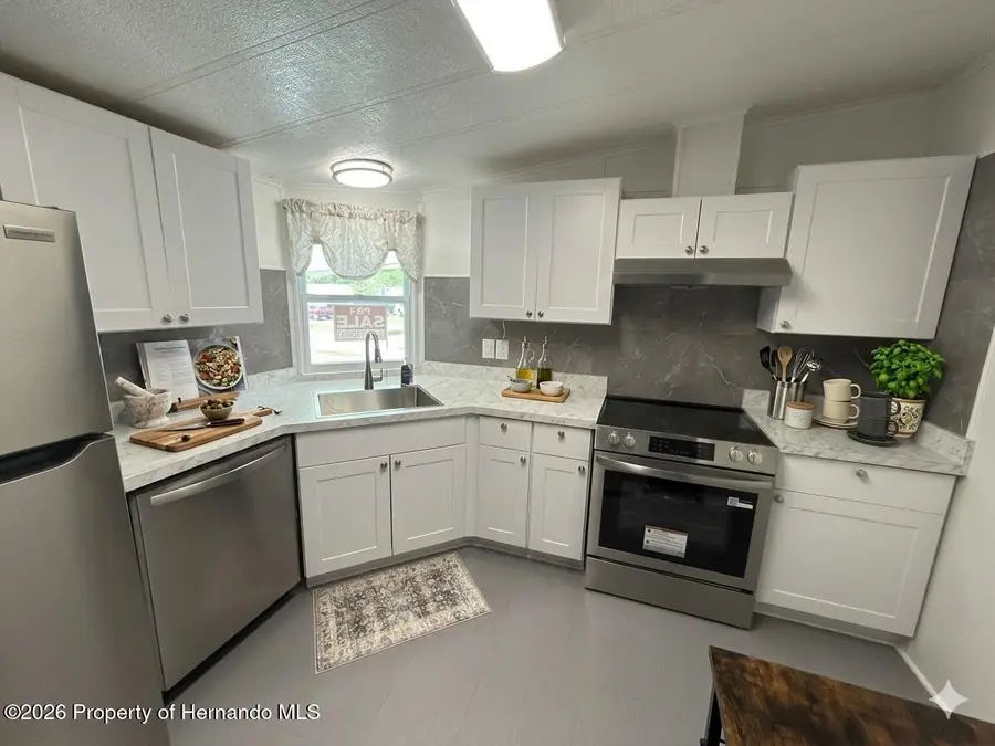16131 Brookridge Boulevard, Brooksville, FL 34613 - #3
