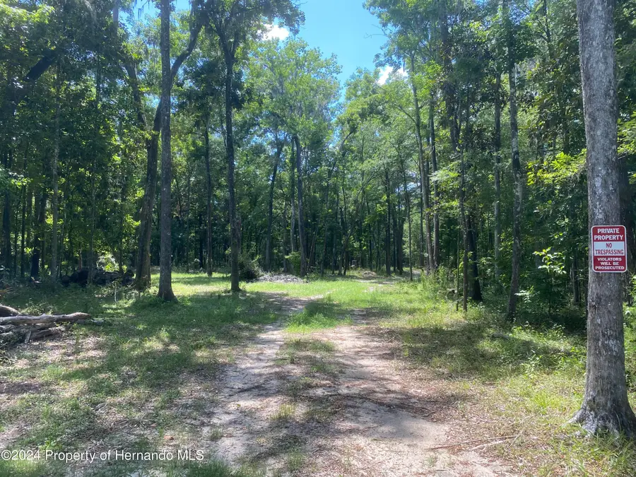0 Snow Memorial Highway, Brooksville, FL 34601 - #3