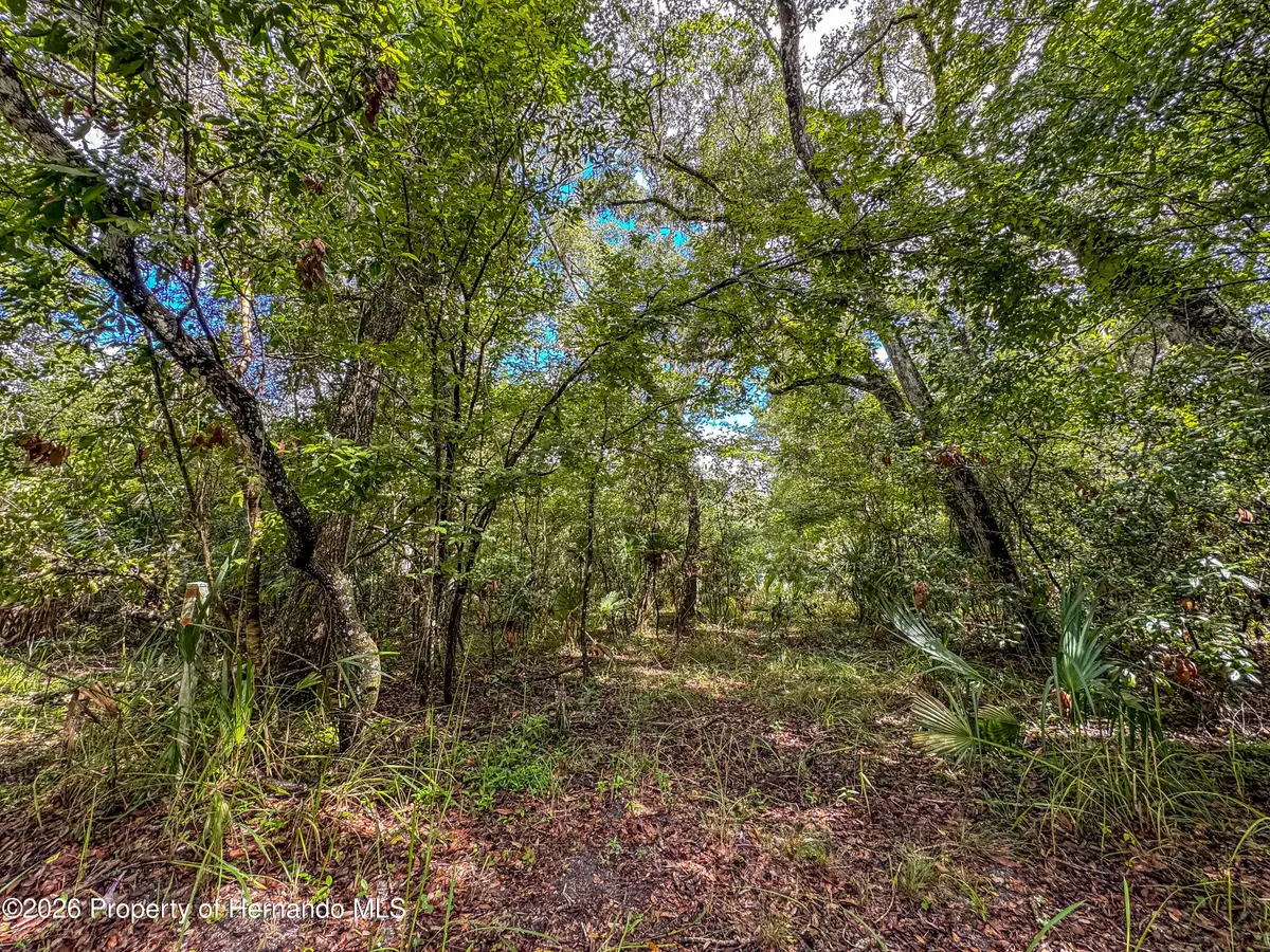 0 Old Hunter Road, Brooksville, FL 34601 - #1