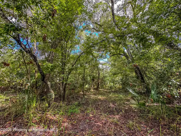0 Old Hunter Road, Brooksville, FL 34601