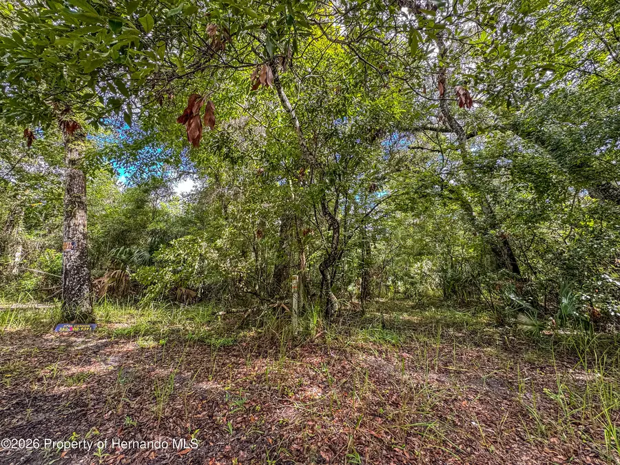 0 Old Hunter Road, Brooksville, FL 34601 - #3