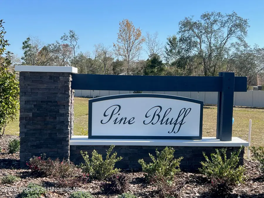 12468 Langley Drive, Spring Hill, FL 34609 - #3