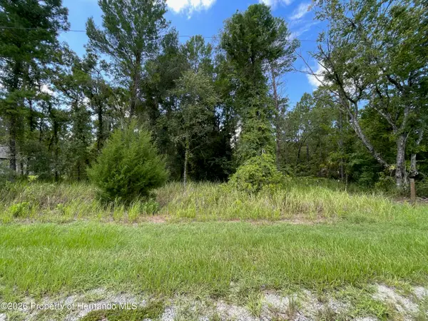 0 Thrasher Avenue, Weeki Wachee, FL 34614