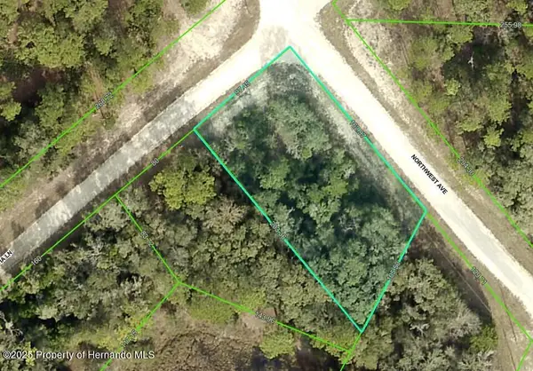 0 Northwest Avenue, Webster, FL 33597
