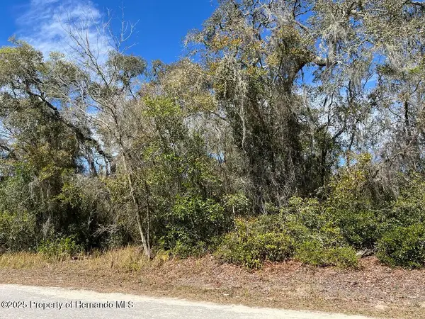 0 Riverstone Street, Webster, FL 33597